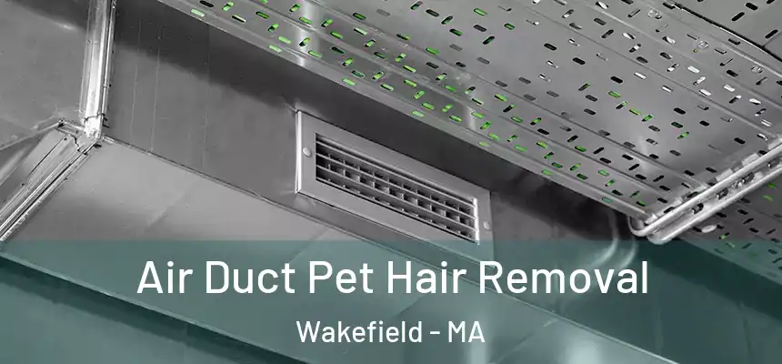 Air Duct Pet Hair Removal Wakefield - MA