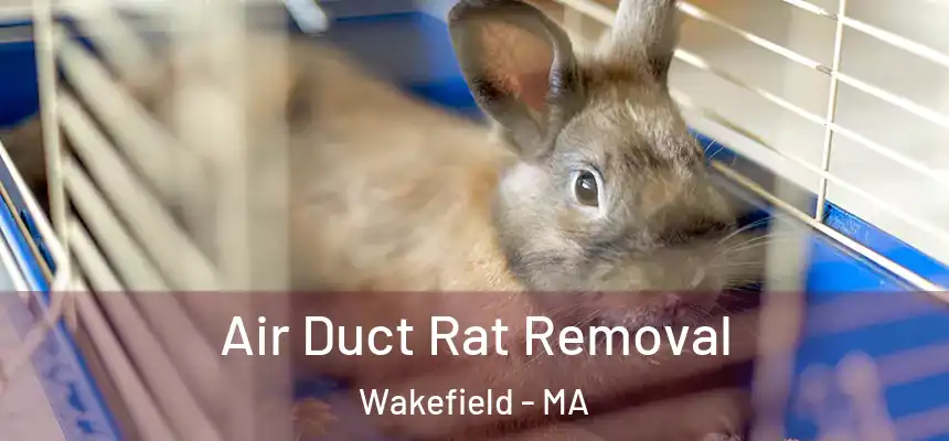  Air Duct Rat Removal Wakefield - MA