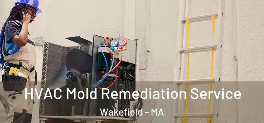 HVAC Mold Remediation Service Wakefield - MA