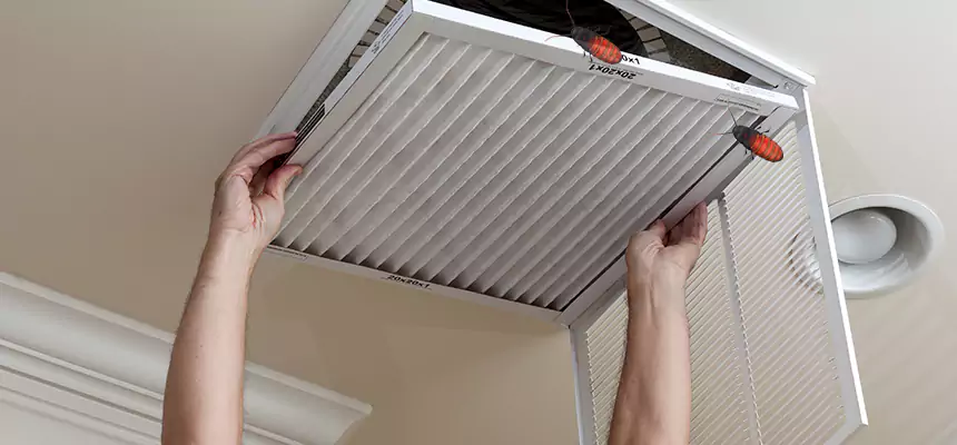 Preventive Cockroach-Proofing for Ducts in Wakefield