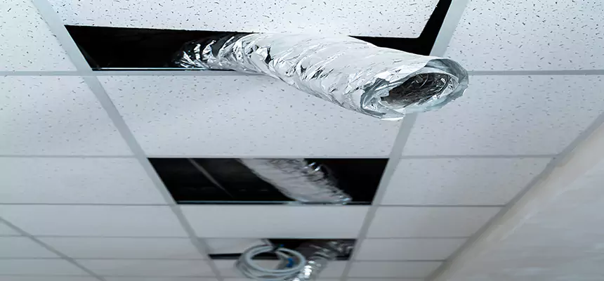 Affordable HVAC Sanitizing After Pest Removal in Wakefield