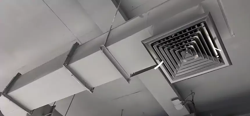 Our Pest Removal From Ducts Services in Wakefield, MA