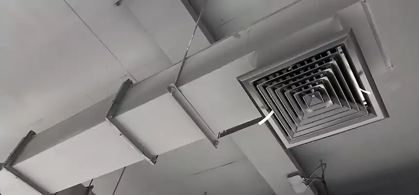 Our Rodent Droppings In Vents Services in Wakefield, MA