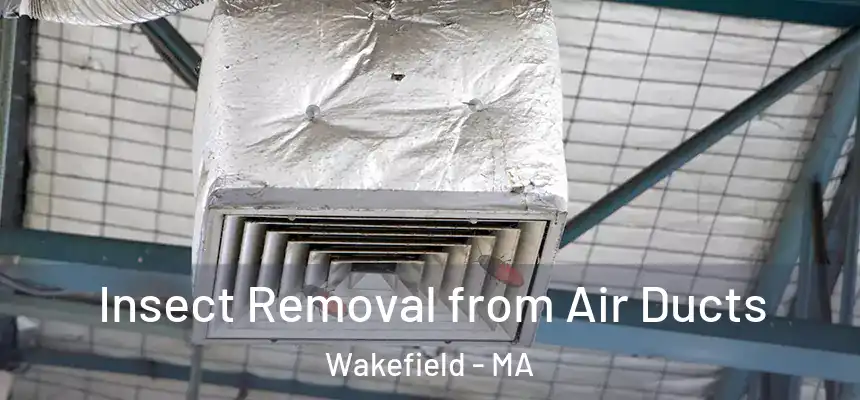 Insect Removal from Air Ducts Wakefield - MA