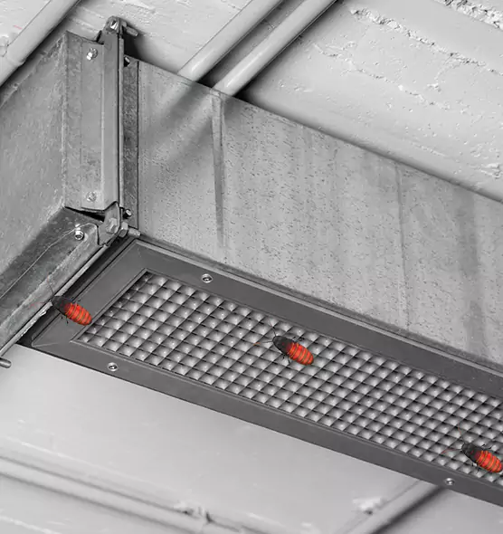 About Air Duct Cockroach Removal in Wakefield, MA