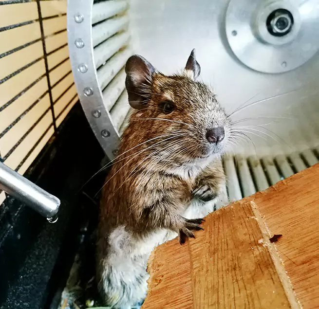 Why Homeowners & Businesses Trust Us Wakefield, MA