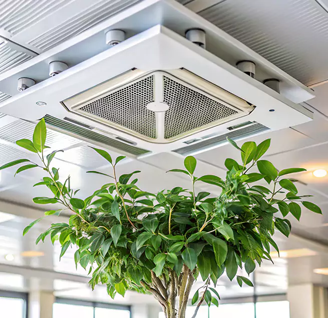 Why Homeowners & Businesses Trust Us in Wakefield, MA?